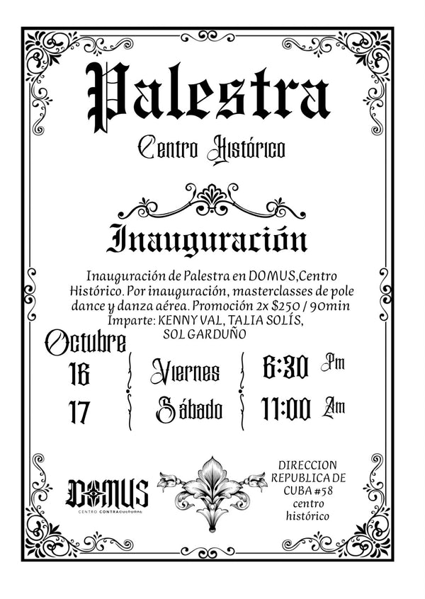 PALESTRA - DANZA AÉREA | 16 Y 17 DE OCTUBRE